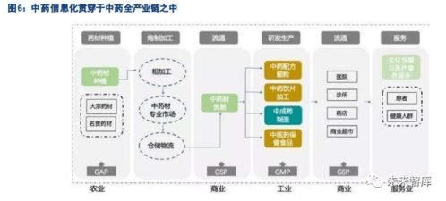 生物醫(yī)藥中藥產(chǎn)業(yè)信息化專題報告 軟件與信息技術(shù)服務(wù)的角色與發(fā)展